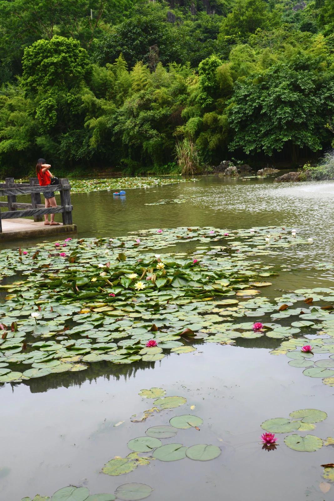 一句话赞叹黄果树瀑布,黄果树瀑布深度解析