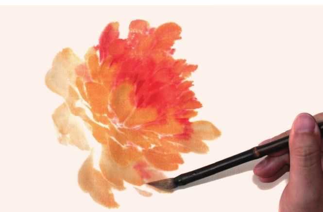 国画牡丹和石头的画法图片,初学国画牡丹花头画法图解