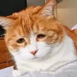 淘宝上的南极人和恒源祥是真的吗,恒源祥和南极人一样卖吊牌吗