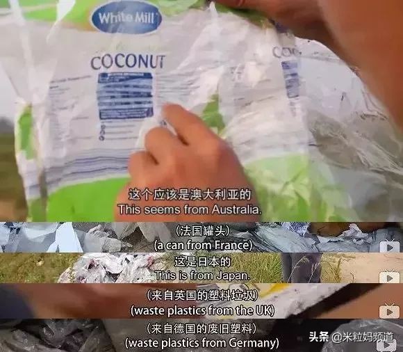 全国人民看江浙沪,上海垃圾分类现在怎样了