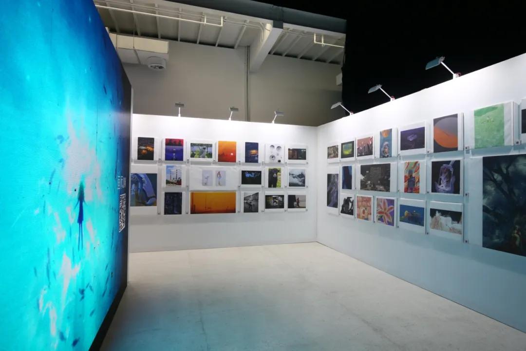 LOFTER品牌焕新,看见年轻人的每一种兴趣