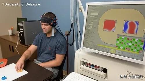 撸猫为什么会产生愉悦感,为什么撸猫会让人舒缓