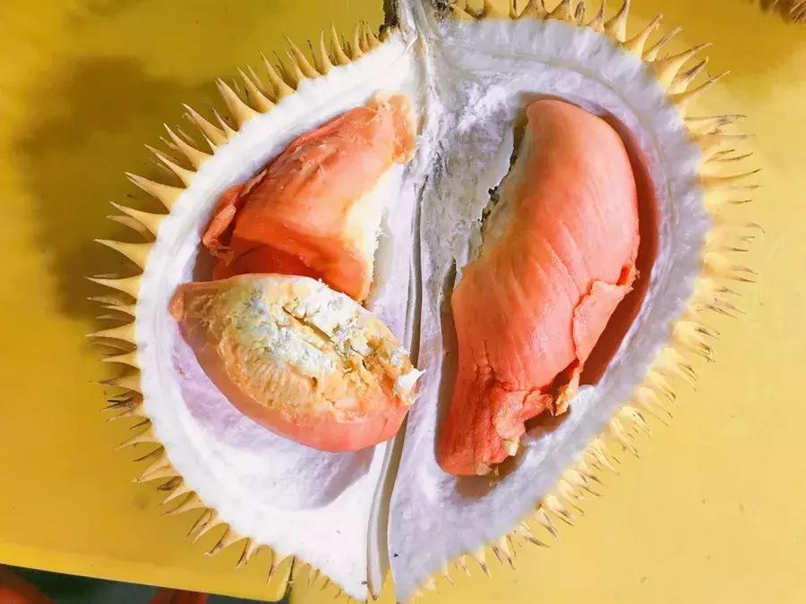 马来西亚适合游玩的岛,马来西亚阳光大海