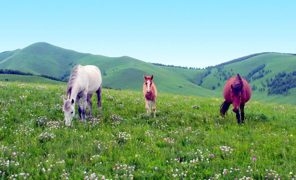 婚姻出现危机男人该怎么挽救,老公一直打游戏婚姻怎么继续