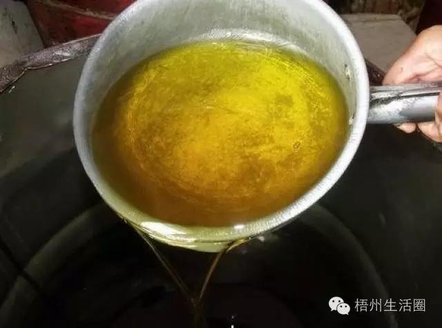“茶油煮饭，锅底刮烂”！罗定的你试过了吗？