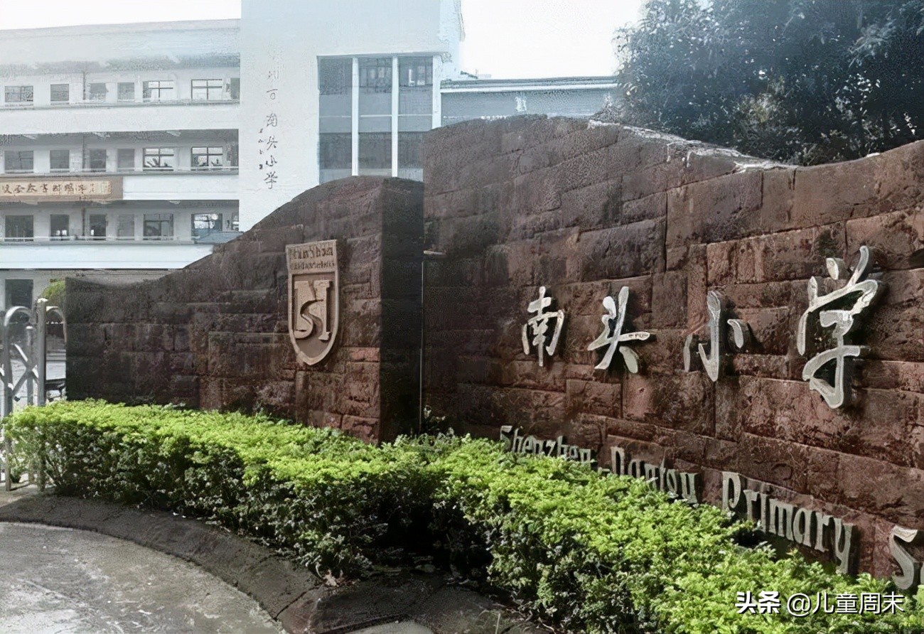 深圳南山区比较好的公立小学,深圳小学龙岗学校排行