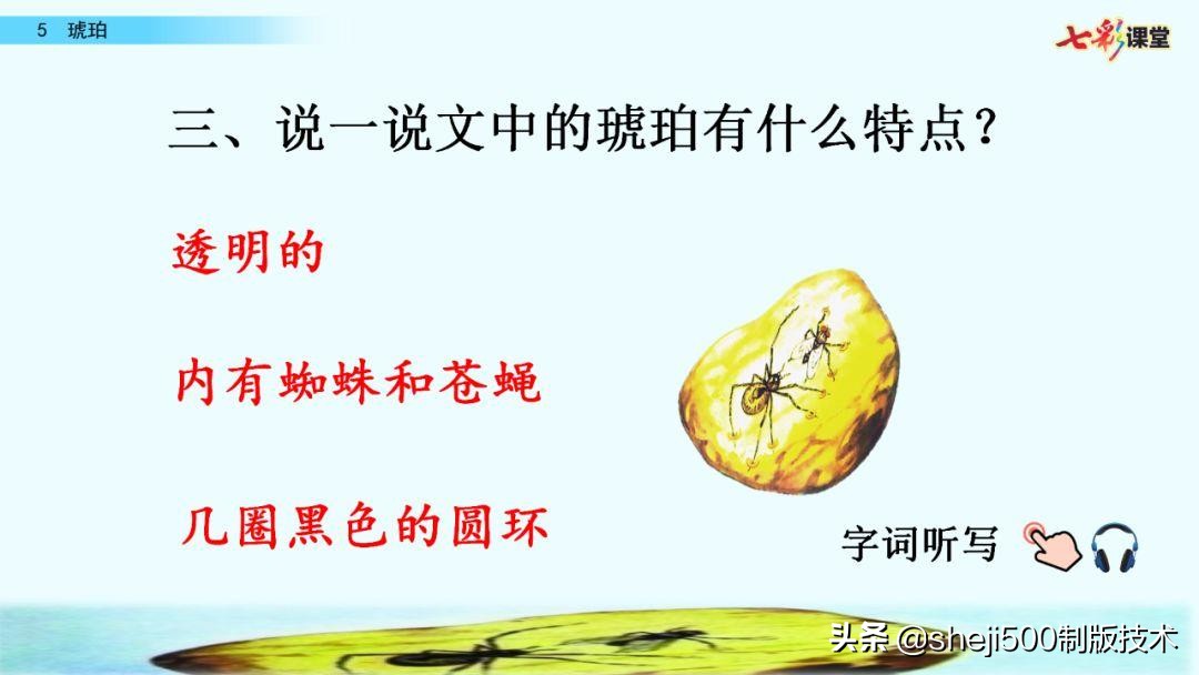 四年级语文下册第5课琥珀知识点,语文书四年级下册琥珀预习分段