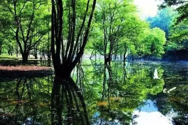 九江旅游必去十大免费景点,九江旅游必去的八大景点