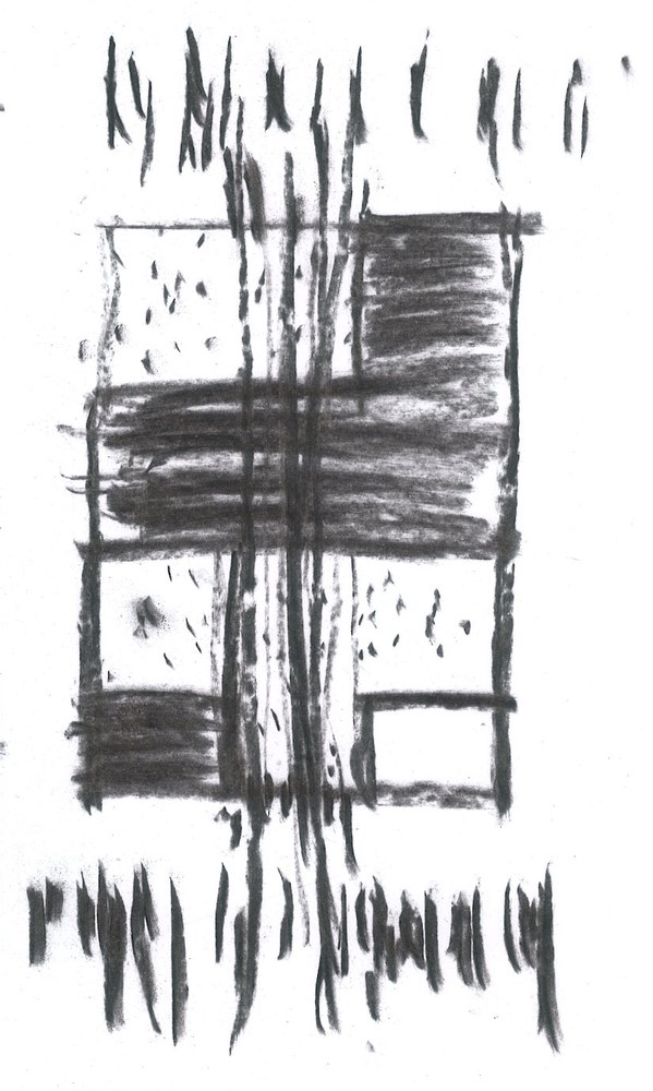 韩国蒲公英,韩国野生蒲公英的种植