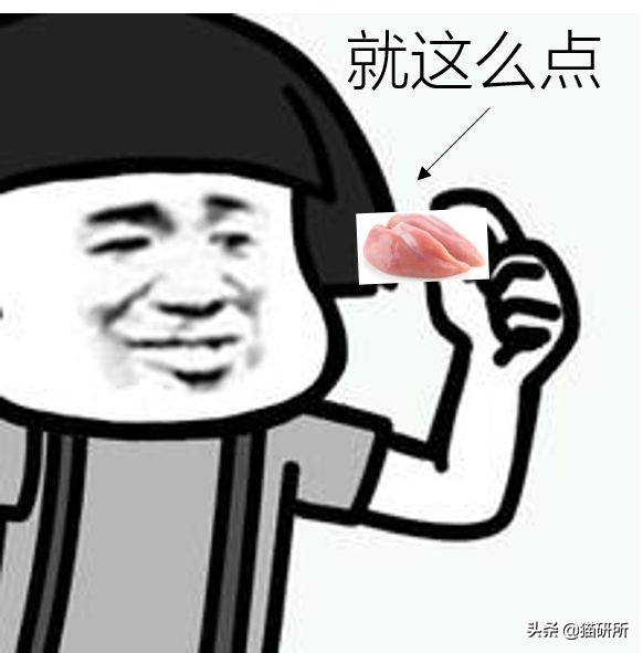 想喂猫咪食物猫咪害怕我们怎么办,新手养猫咪饮食都要注意哪些事项