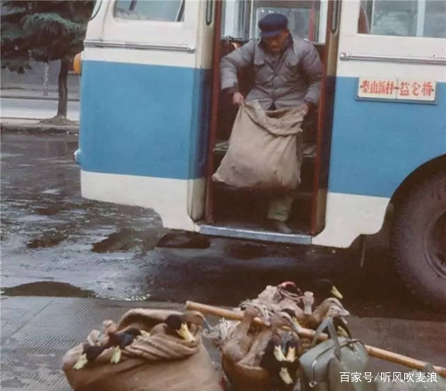 遥远的乡愁拜年视频,遥远的乡愁精彩视频