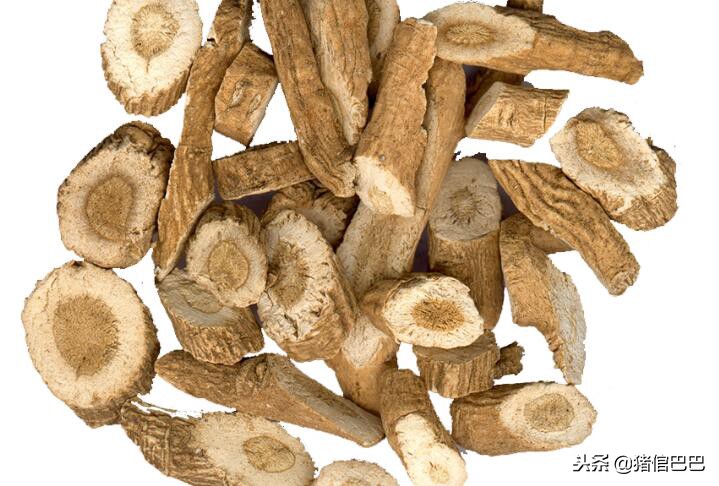 猪治疗呼吸道疾病的中药,促进猪生长的药