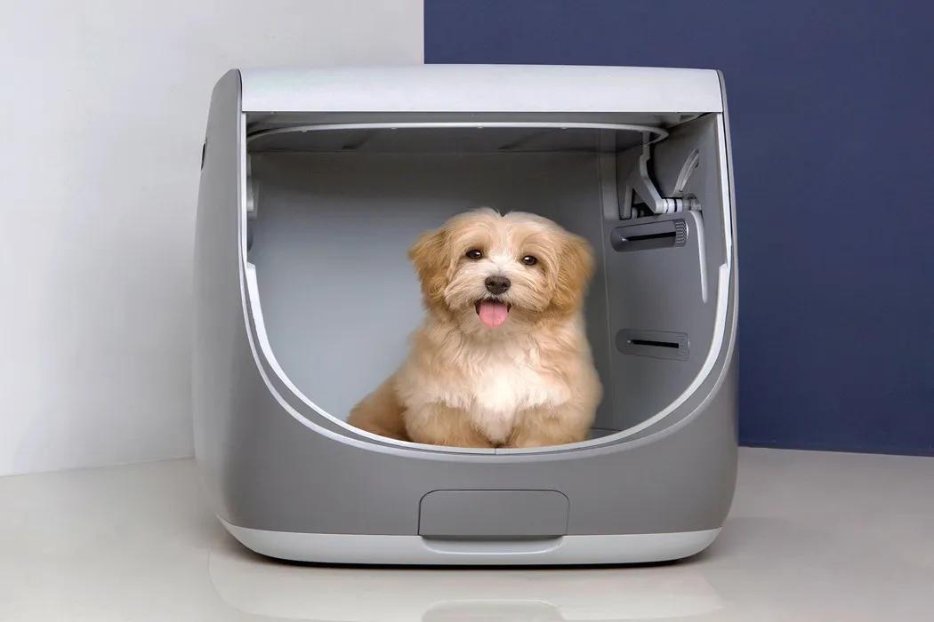 未来5年宠物智能产品,宠物产品logo设计