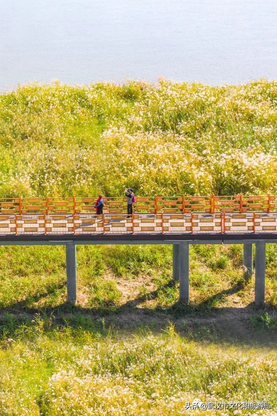 武汉环城绿道,武汉上半年全线贯通的新绿道