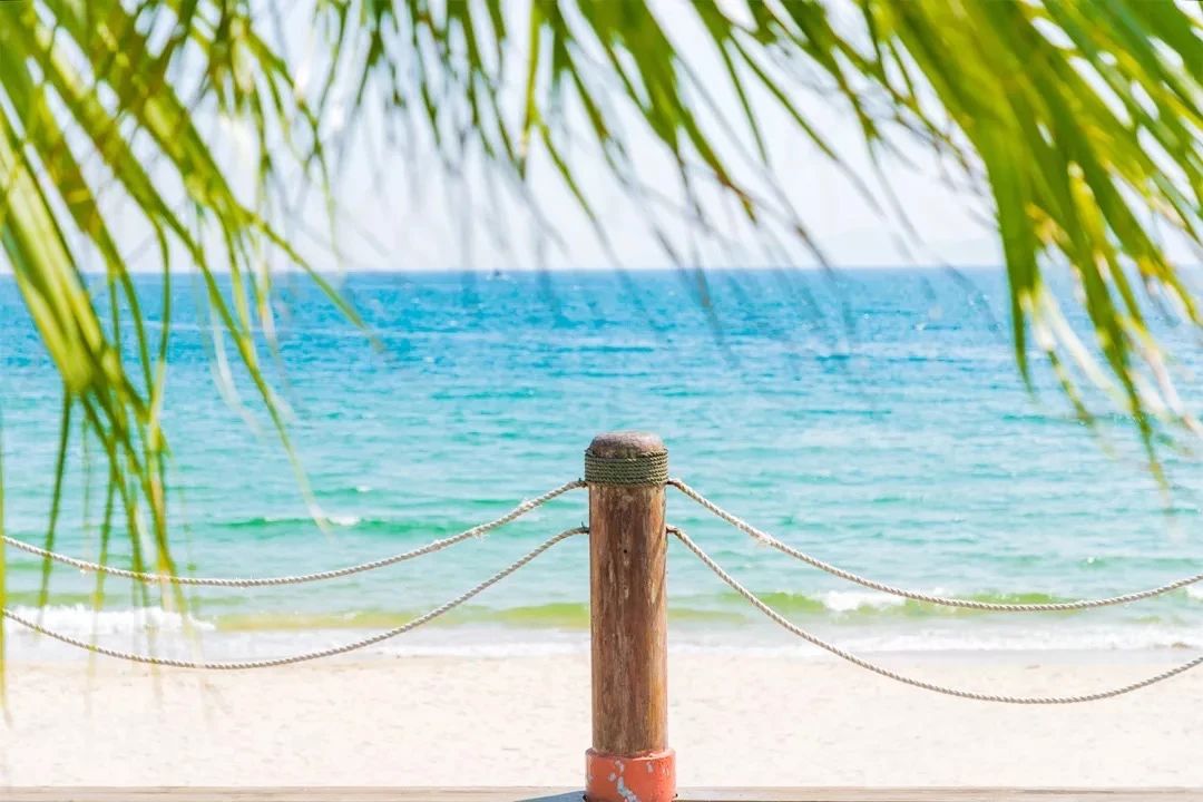 深圳旅游好去处推荐,深圳宝安区周末休闲浪漫好去处