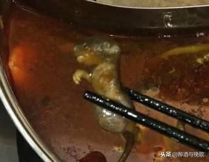 孕妇吃到老鼠后续,餐厅吃出老鼠孕妇