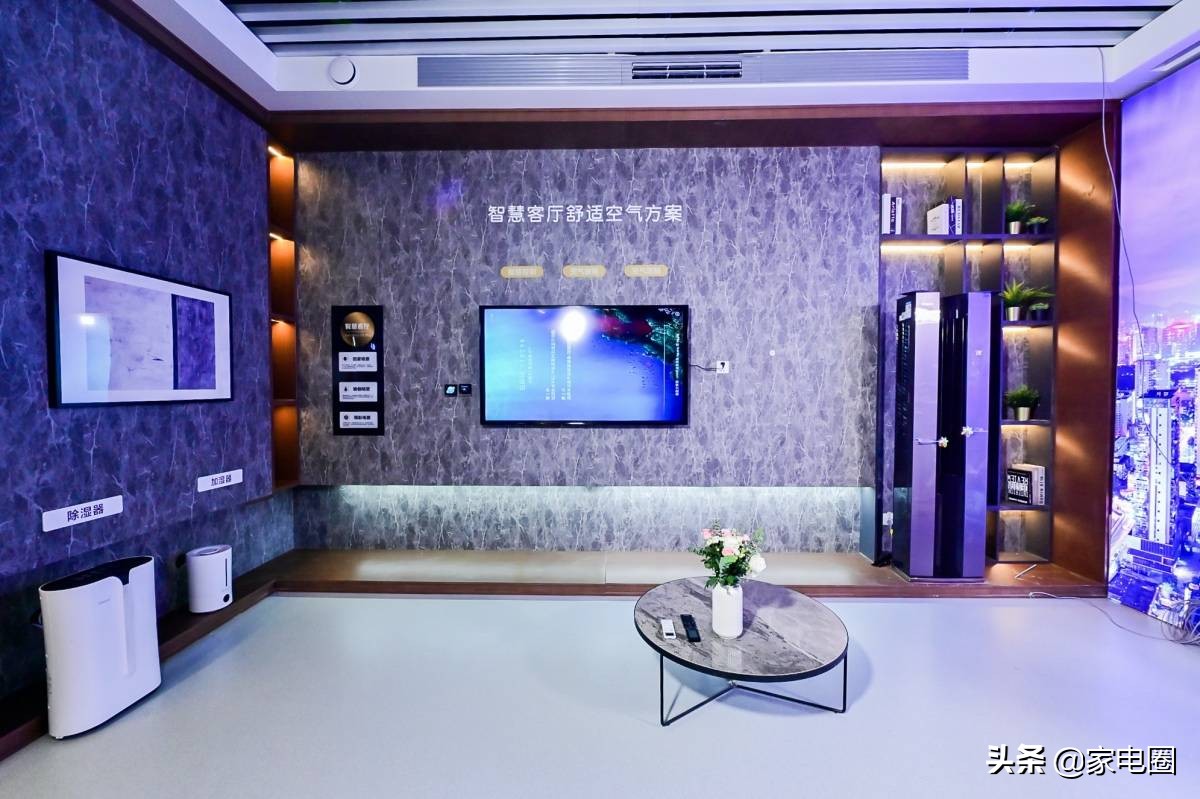 谁来决定空调产业的出路？