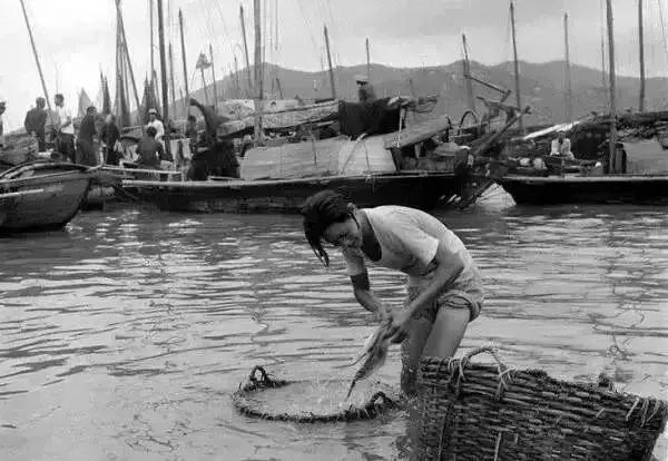 澳门回归20周年有什么信号,澳门回归从回归到现在过了几周年