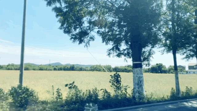 热҈热҈热҈热҈热҈！余杭超“清凉”景点集合