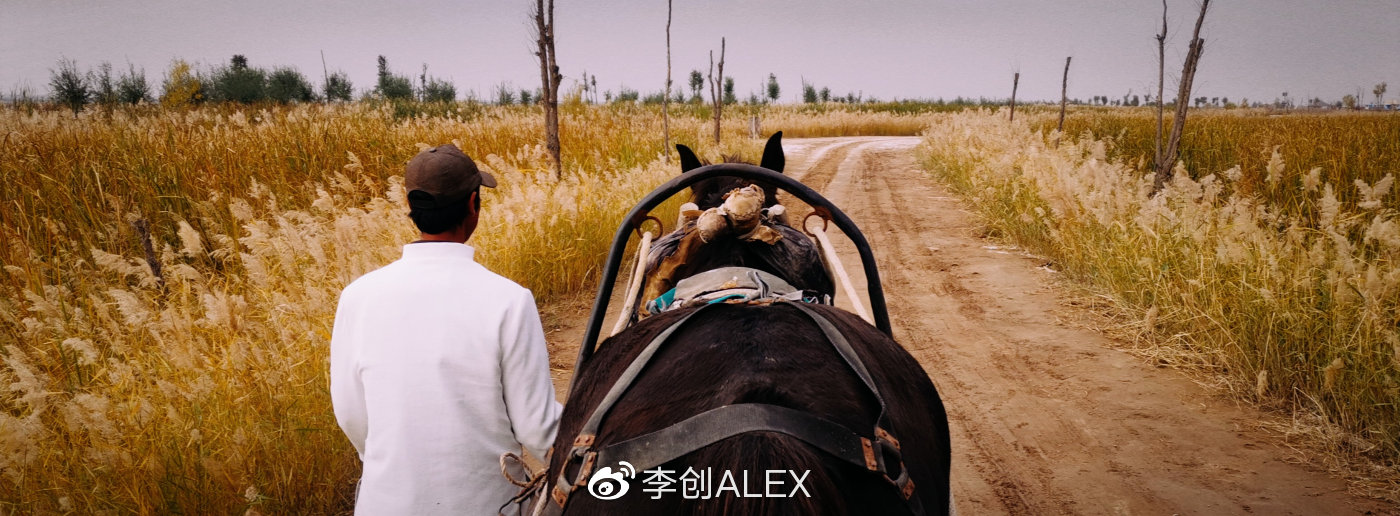 来宁夏玩的攻略,从宁夏去内蒙怎么玩