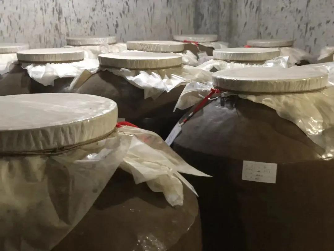 考察茅台镇,茅台镇考察