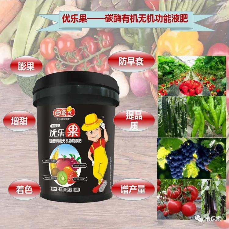 果实生长缓慢什么原因,果实产量高是什么原因