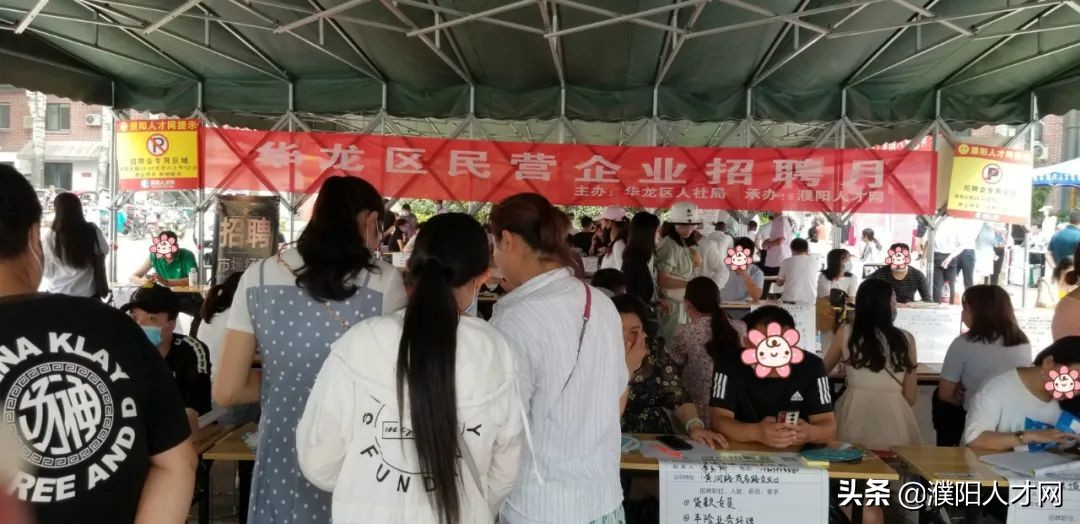 稳就业保就业网络直播招聘会,濮阳人才网最新信息