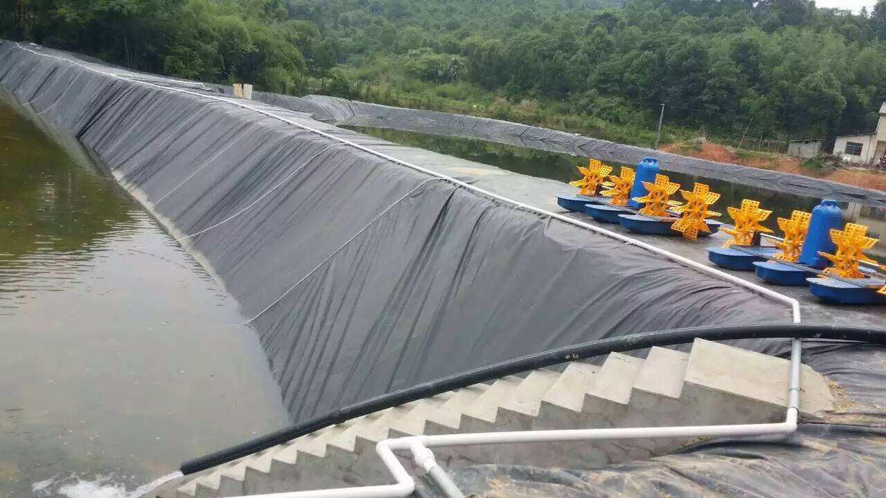 鱼塘防水膜多少钱一斤,鱼塘防水膜价格