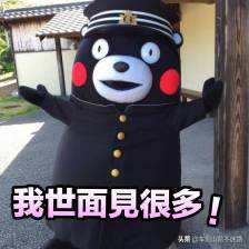 买车买贵好还是便宜好,新手买车要不要买贵的