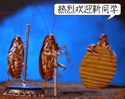 家里蟑螂多用什么方法灭蝇效果好,除蟑螂家用灭蟑神器