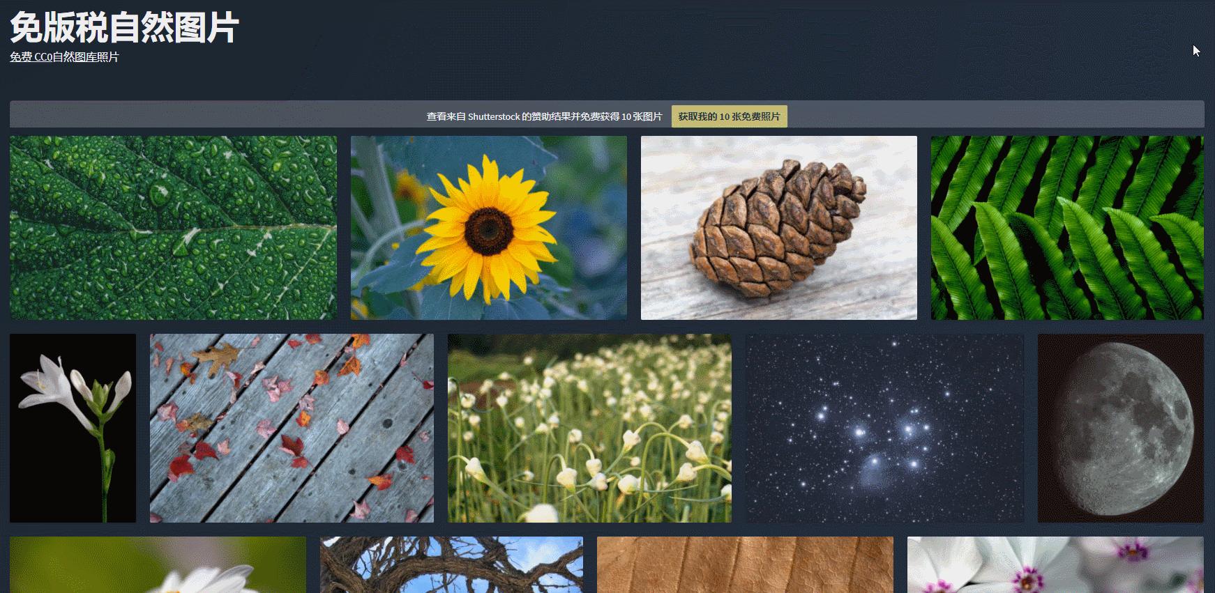 花瓣素材图片ppt,花瓣素材网图片有版权吗