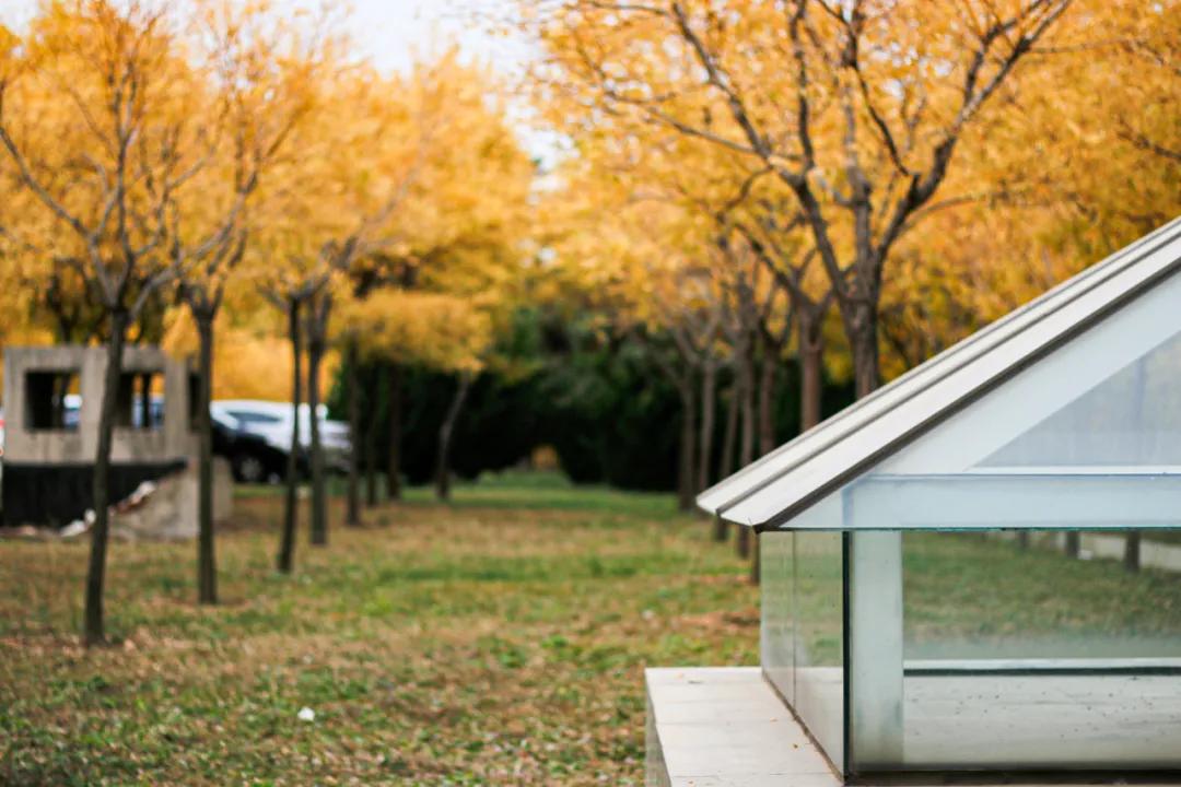 醉美大工秋|读书不觉已秋深，____________