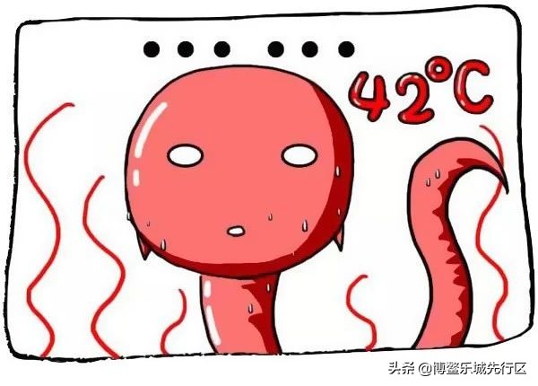 一组漫画告诉你：出生前，陪你进军的几亿精子大军都去哪了？