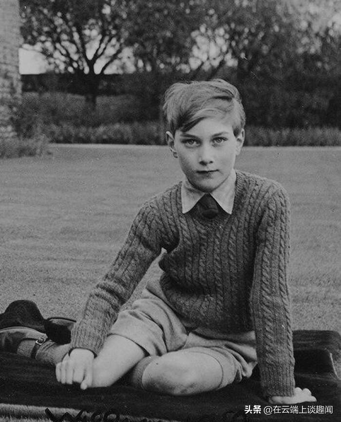 英国查尔斯与威廉王子,英国查尔斯威廉王子