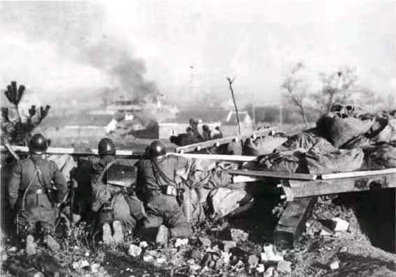 84年前紫金山那场惨烈的保卫战