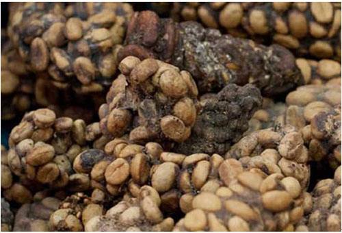 印尼带回国特产伴手礼,印尼旅游带什么伴手礼