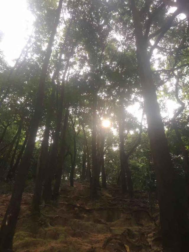 乔布斯在斯坦福大学的演讲，大师的道是什么？思想是什么