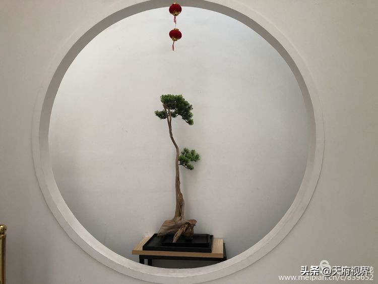 中国百慕大黑竹沟了解一下,穿越黑竹沟揭秘中国百慕大