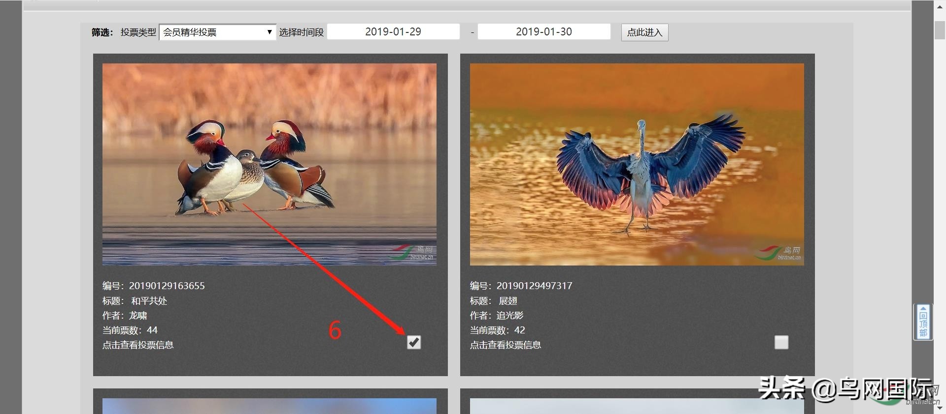 鸟网关于对首页精华图片入选进行投票的通知