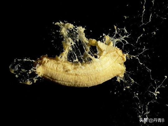 高速摄影作品欣赏,高速摄影作品照片