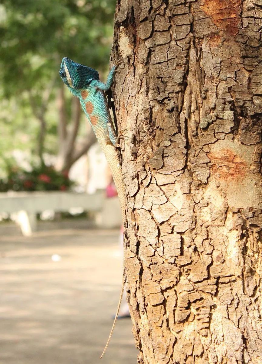 它是蓝颜祸水还是蓝颜薄命,都与你我有关