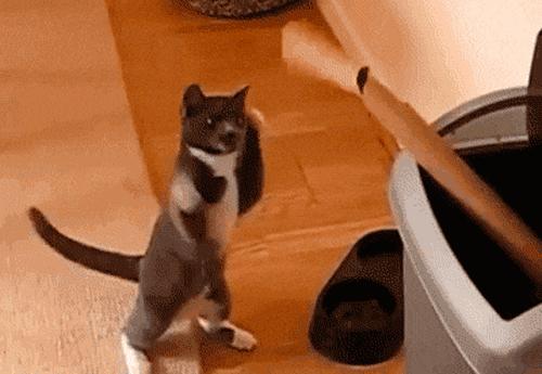 单词记忆法轻松背单词abc,如何快速的背单词的词性