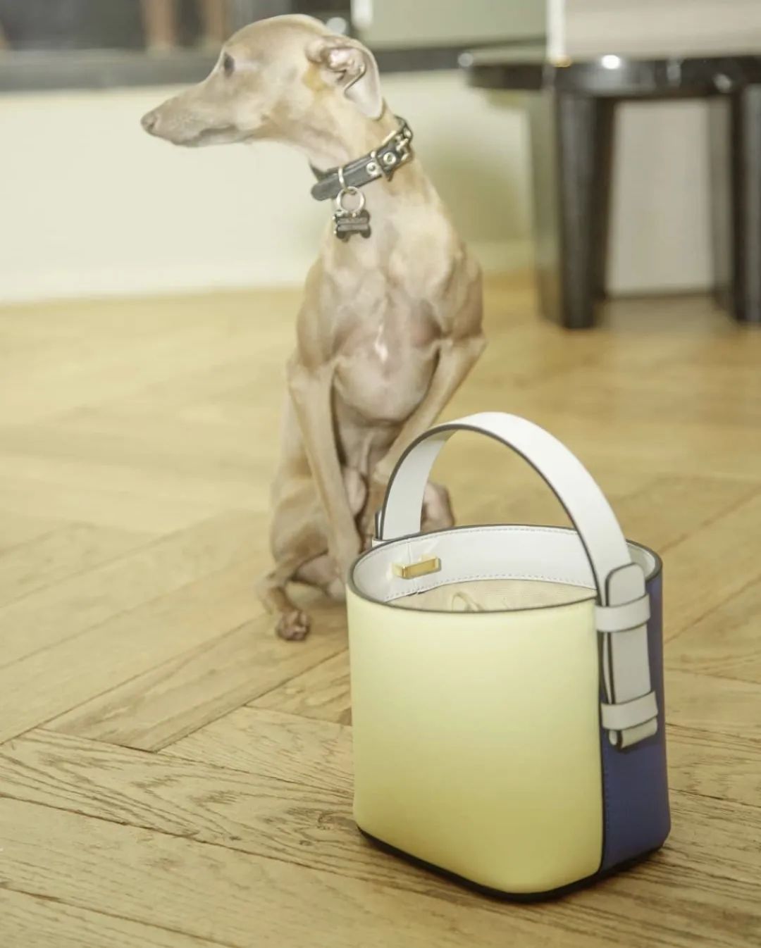 500元左右轻奢包推荐女性,十大入门级轻奢女包千元下