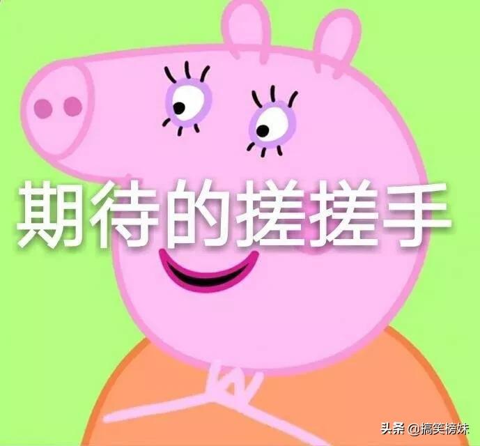 一个人一个猪的表情包,怎么才可以获得小猪佩奇表情包呢