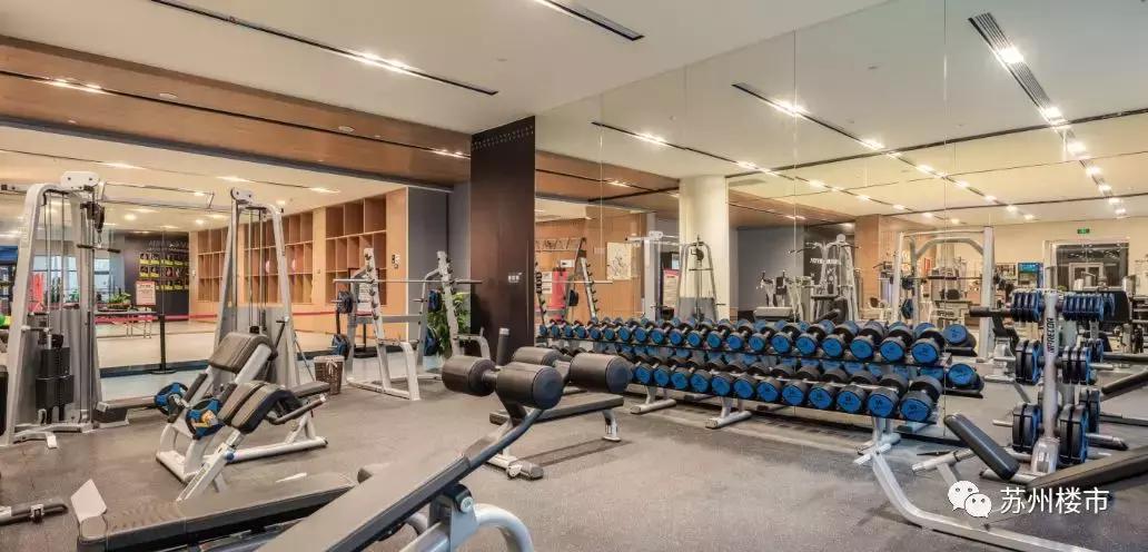 苏州拍照片怎么拍出高级感,苏州最震撼全景