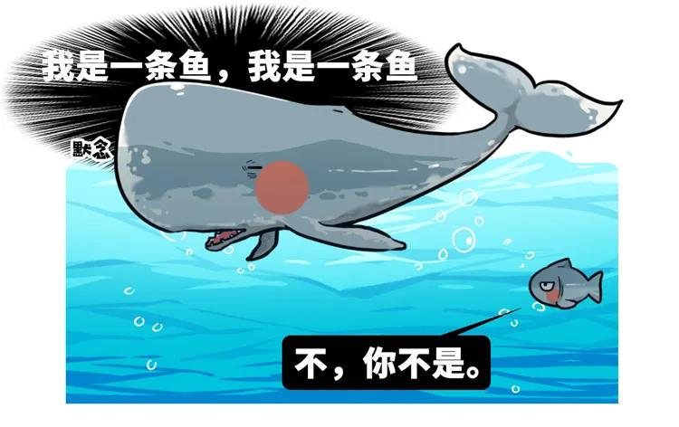 为什么要捕杀鲸鱼?日本人:不是为了吃,这是传统文化