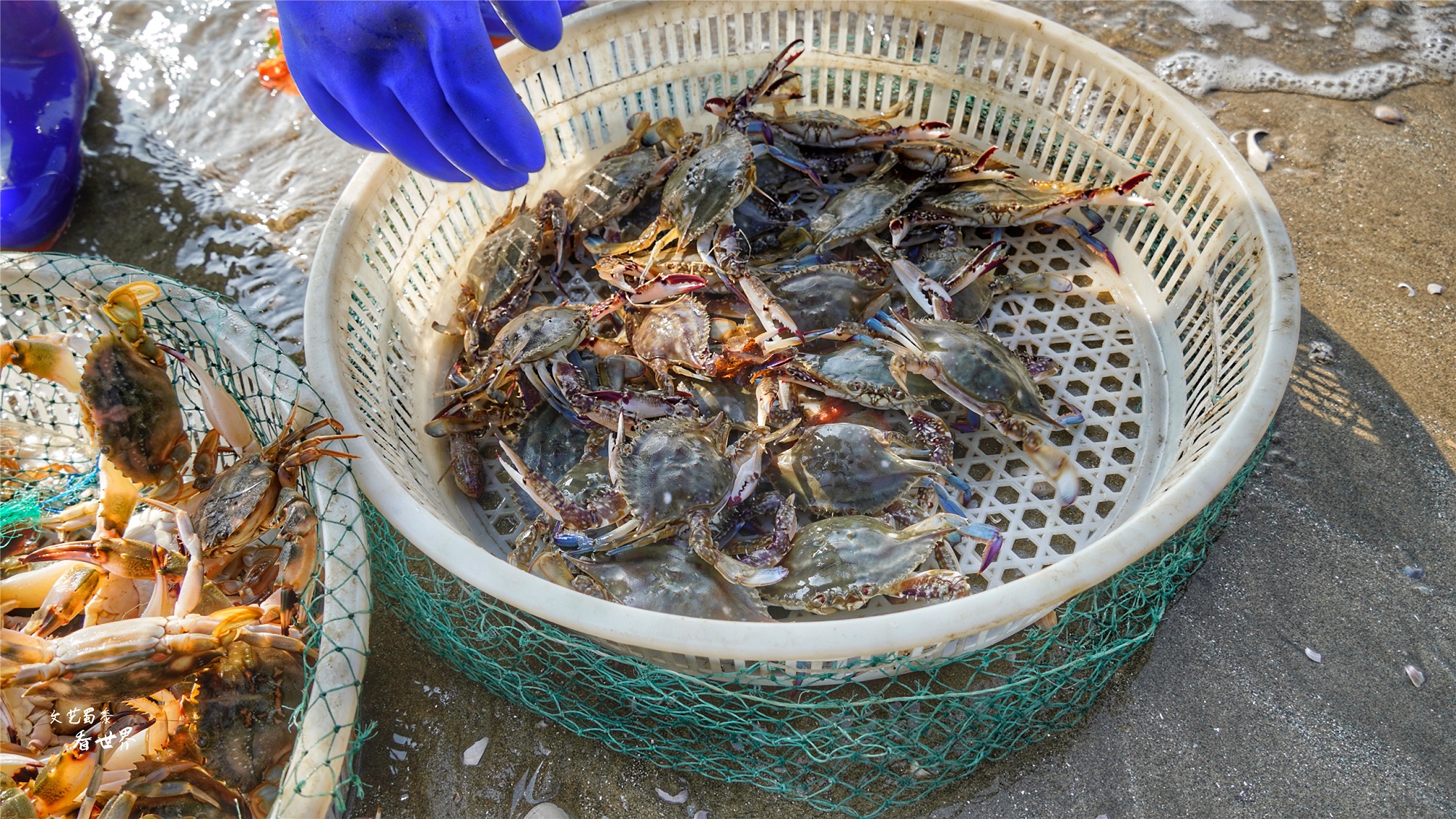 东北发展最好的城市丹东,丹东和吉林市哪个宜居