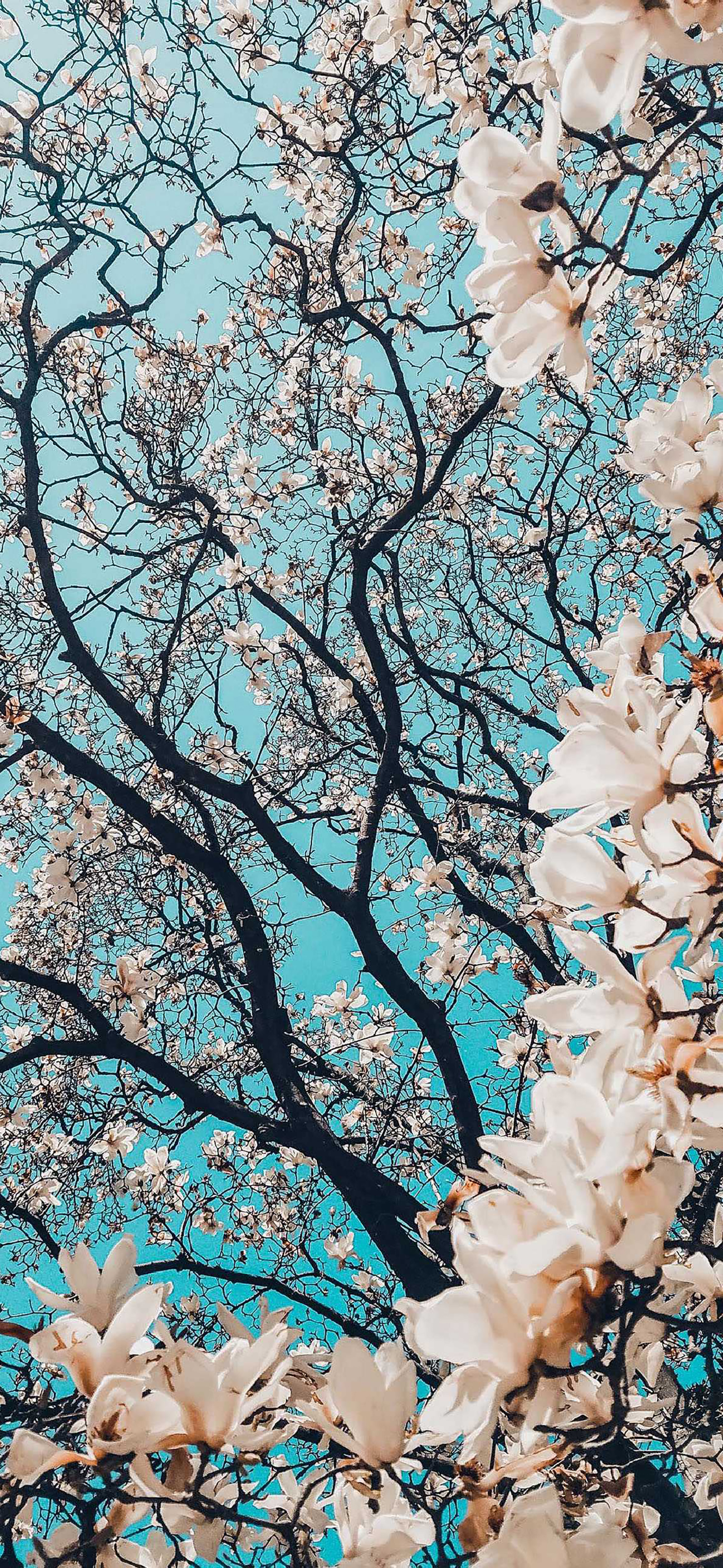 孤独失落伤感风景的高清壁纸,时光浓淡相宜的壁纸