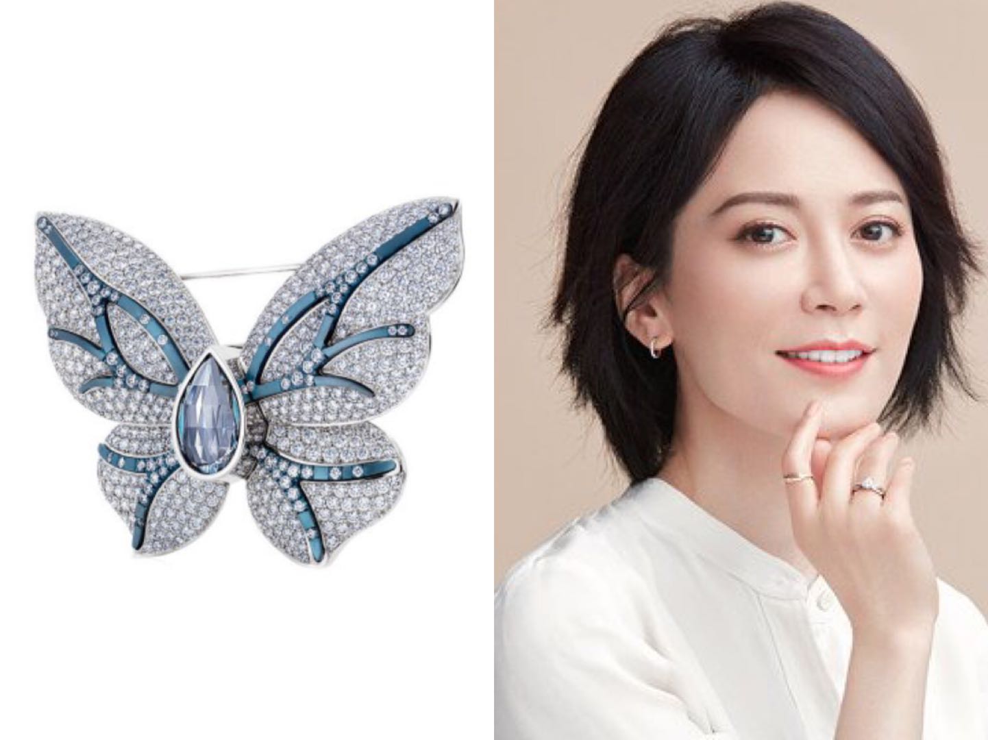 盘点那些年私藏的精致胸针,华丽又精致的蝴蝶胸针