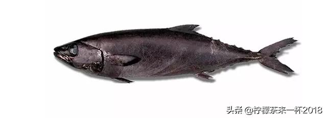 银鳕鱼如何挑选,法国银鳕鱼挑选技巧